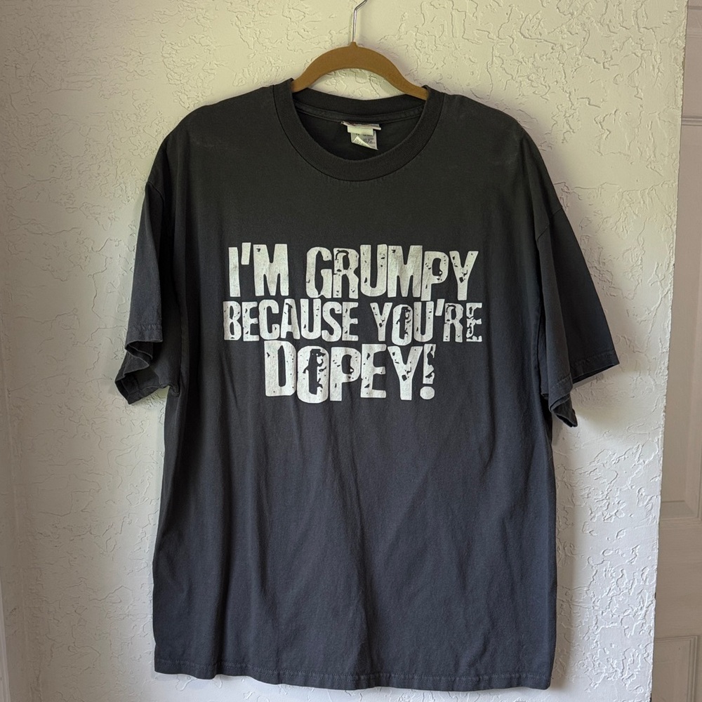 Official Disney Black Graphic Tee - Grumpy and Dopey